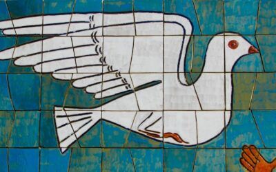 Nuevo ciclo anual: Doctrina Social de la Iglesia y la promoción de la Paz